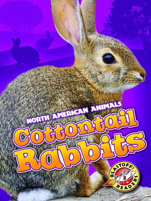 Title details for Cottontail Rabbits by Christina Leighton - Available